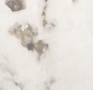 White Granite